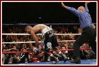 thumb Castillo won31 Boxing Ringside Report: Jose Luis Castillo   Diego Corrales