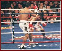 thumb Morales Pacquiao boxing11 Ringside Boxing Report: Manny Pacquiao   Erik Morales 2