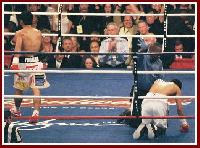 thumb Morales Pacquiao boxing16 Ringside Boxing Report: Manny Pacquiao   Erik Morales 2