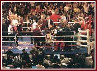 thumb Morales Pacquiao boxing18 Ringside Boxing Report: Manny Pacquiao   Erik Morales 2