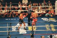 thumb Pacq Famoso1 Boxing Ringside Report: Jose Luis Castillo   Diego Corrales