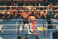 thumb Pacq Famoso4 Boxing Ringside Report: Jose Luis Castillo   Diego Corrales