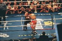 thumb Pacq Famoso5 Boxing Ringside Report: Jose Luis Castillo   Diego Corrales